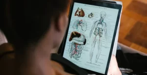 Kje je krojaska misica