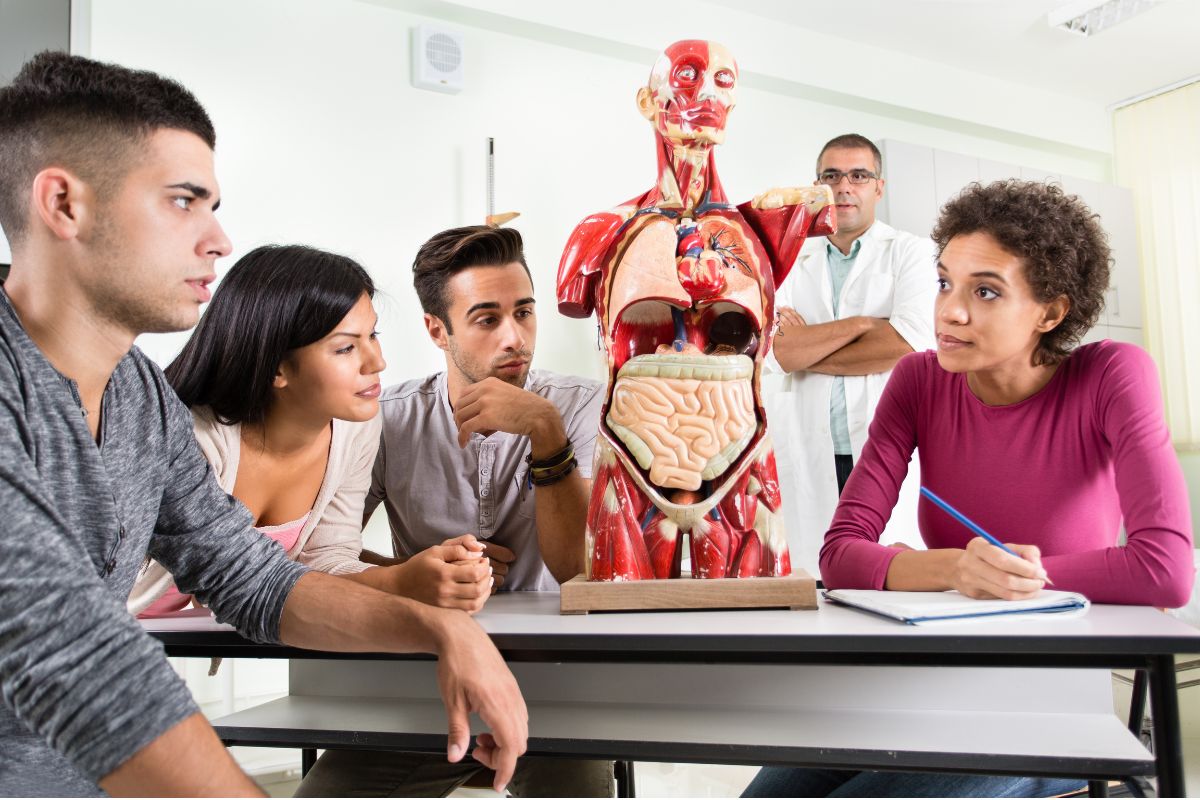 tečaj anatomije in fiziologije za maserje